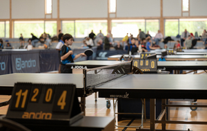Retour en images : tournoi Poussins Benjamins 78 du 12/04